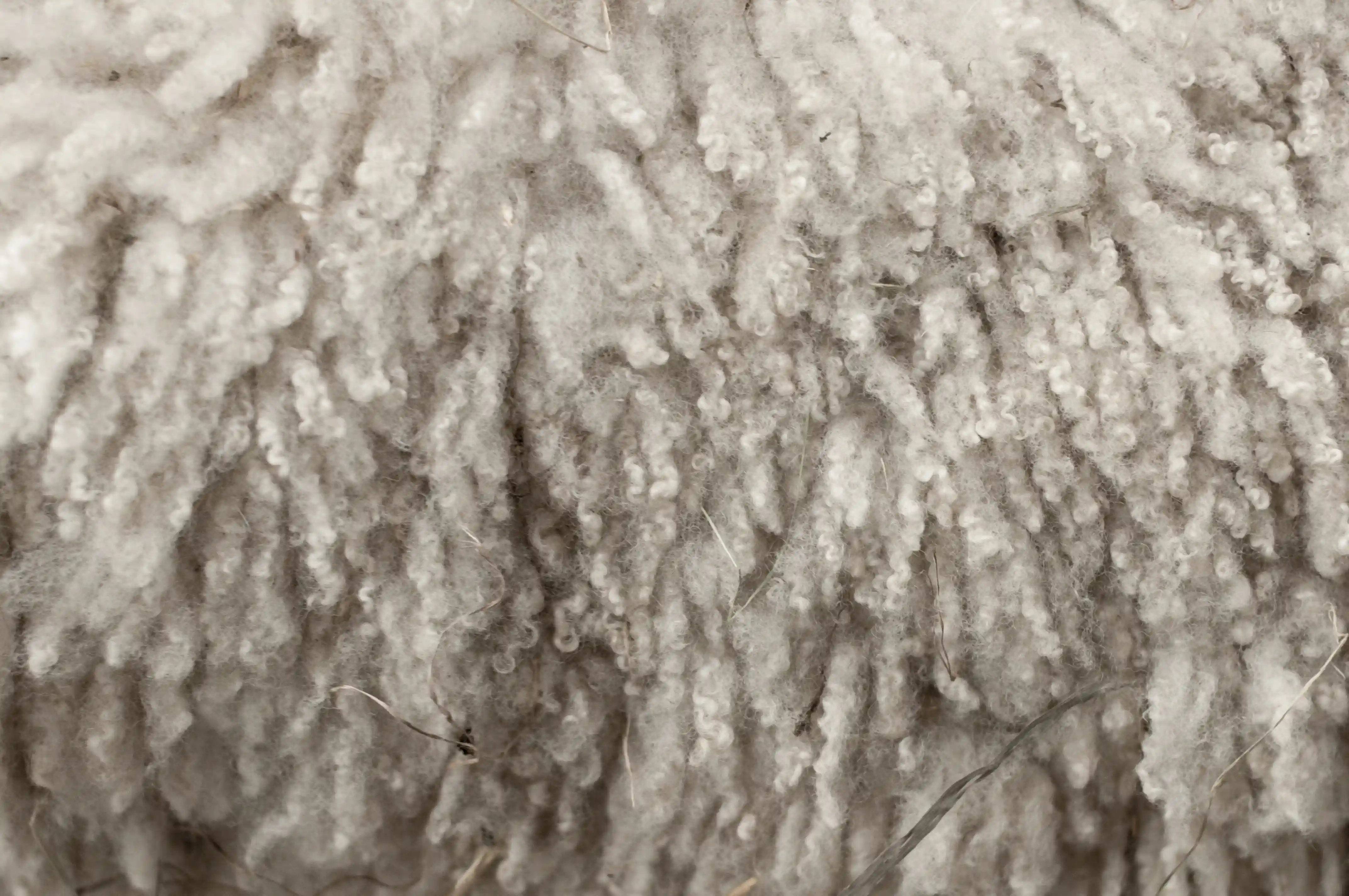 Wool
Soft. Breathable. Nature's flame barrier.