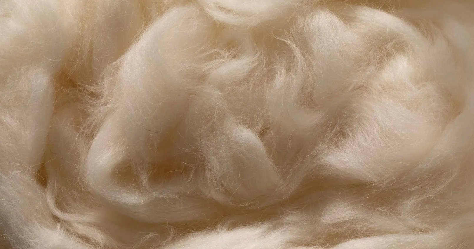 Furniture that loves you back.